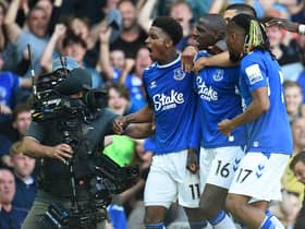 Abdoulaye Doucoure's goal secured Everton's top flight status