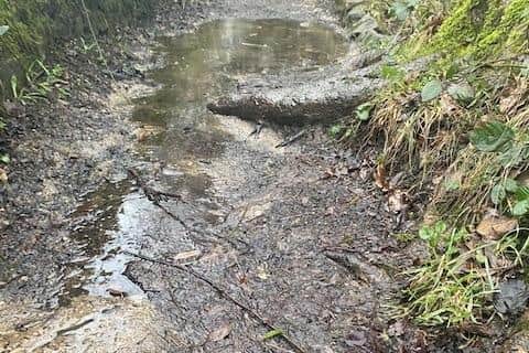 A footpath in need of repair on Lake Burwain, Foulridge