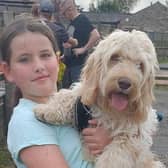'Best in Show' winner Buddy gets a cuddle from Emily Roberts, who owns the six-month-old Cavapoo with brother Freddie, at an open day and dog show at Whalley Corn Mills