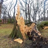 Storm Arwen wreaked havoc across the North of England.