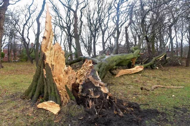 Storm Arwen wreaked havoc across the North of England.