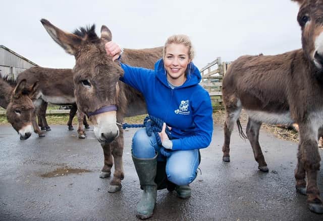 Animals will always come first' is pledge of devoted staff at sanctuary  facing £100,000 electricity bill | Burnley Express