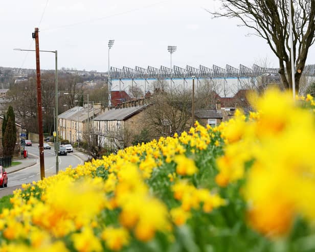 BURNLEY, ENGLAND - MARCH 16: A general view of daffodils planted outside the stadium prior to the Premier League match between Burnley FC and Brentford FC at Turf Moor on March 16, 2024 in Burnley, England. (Photo by Matt McNulty/Getty Images)