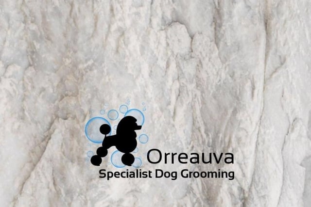 Orreauva Specialist Dog Grooming, Longton Road. Telephone 07738 061118