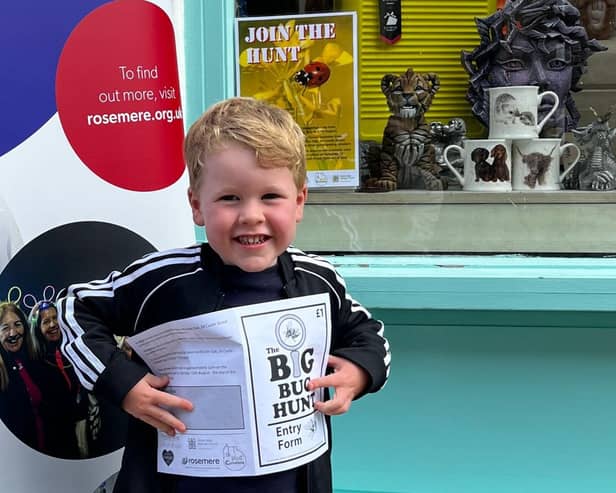 A charity bug hunt challenge tied in to Clitheroe Food Festival aims to keep children busy during school holidays in Clitheroe