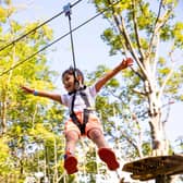 It will be Go Ape's first adventure park for children under the age of 10, with two high ropes experiences for little daredevils with a head for heights