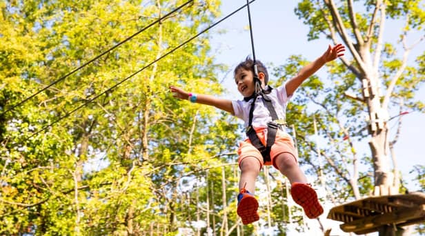 It will be Go Ape's first adventure park for children under the age of 10, with two high ropes experiences for little daredevils with a head for heights