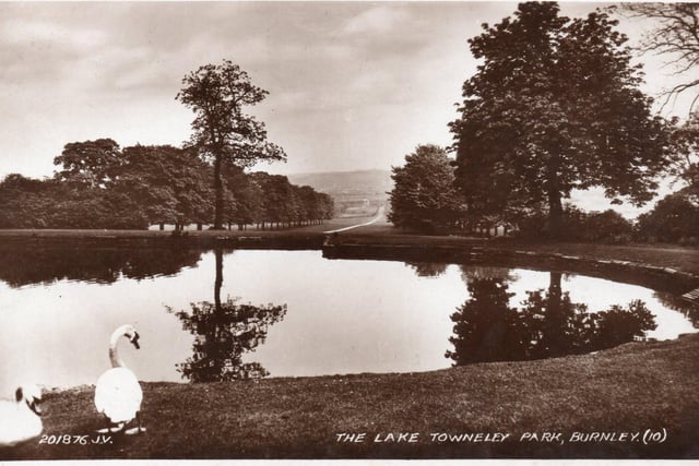 Apart from the hall, perhaps the most famous feature of the park is the lake. It is a place for bird spotters, young and old, though ducks are more common than the swans that can be seen in this picture