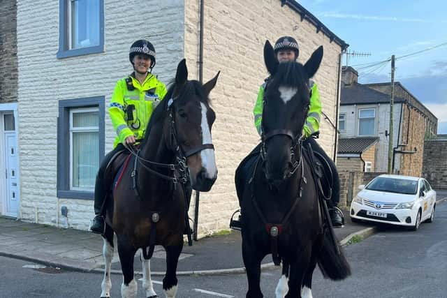 Specialist police teams, including mounted police, are to be drafted in to deal with incidents of disorder in Nelson