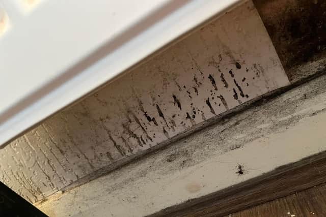 Black mould in a Calico home in Burnley.