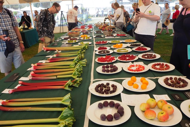 Food for thought - the Tatton show, which continues until Sunday July 24, also includes a marquee of entries for the show's summer fruit and vegetable competition.
Photo:Fiona Finch