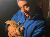 Bethany Cook, owner of Quaker Animal Rescue & Rehabilitation, who is helping to care for an abandoned pet rabbit.