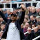 NEWCASTLE UPON TYNE, ENGLAND - SEPTEMBER 30:  Vincent Kompany, Manager of Burnley, gestures during the Premier League match between Newcastle United and Burnley FC at St. James Park on September 30, 2023 in Newcastle upon Tyne, England. (Photo by Ian MacNicol/Getty Images)