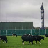 Fracking and farming sat side-by-side on Preston New Road when drilling was allowed. Prime minister Liz Truss is expected to overturn the ban of extracting for shale gas this week, opening the way for a return to fracking in Lancashire.