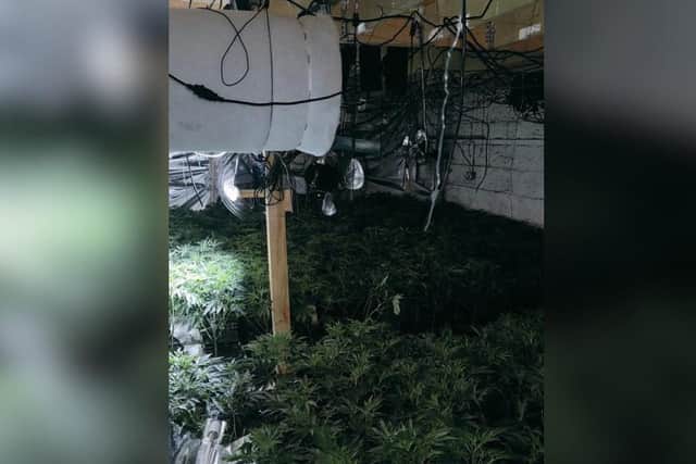 The cannabis farm was found at a business premises in Oxford Road, Burnley