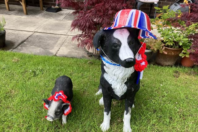 Residents of Littlemoor sheltered housing in Sabden - and their animal friends - are in jubilee mood. The animal outfits were made by Pat Whitwell from the Knit and Natter group.