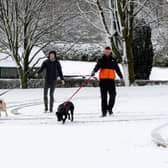 Nicola and Paul walking their dogs Miya and Rufus in the Towneley Park during snowfall in March 2023. Photo: Kelvin Stuttard