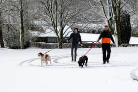Nicola and Paul walking their dogs Miya and Rufus in the Towneley Park during snowfall in March 2023. Photo: Kelvin Stuttard
