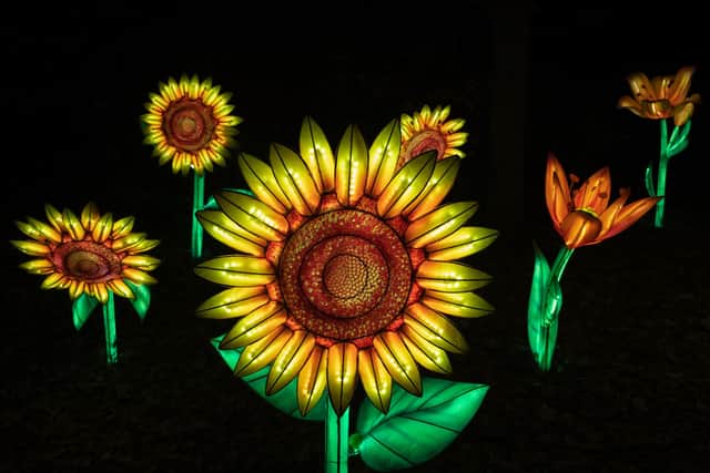 Sunflower light installations at Lightopia in Manchester.