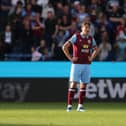 BURNLEY, ENGLAND - OCTOBER 07: Sander Berge of Burnley reacts after Nicolas Jackson of Chelsea (not pictured) scores their sides fourth goal during the Premier League match between Burnley FC and Chelsea FC at Turf Moor on October 07, 2023 in Burnley, England. (Photo by George Wood/Getty Images)