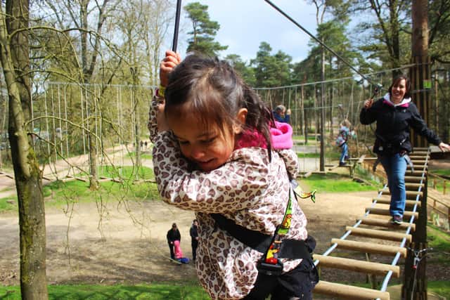 Children will be able to test their skills and balance on a circuit of wobbly crossings and obstacles before speeding back to the ground on a zipline through a canopy of trees
