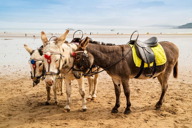 A donkey ride on Blackpool beach costs around £3, so the winner could afford an eye-watering 65 million rides