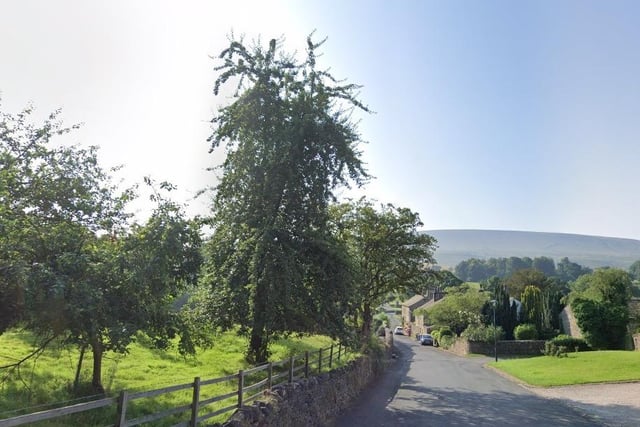 Downham, being in Bowland, is home to some gorgeous shrubs and trees
