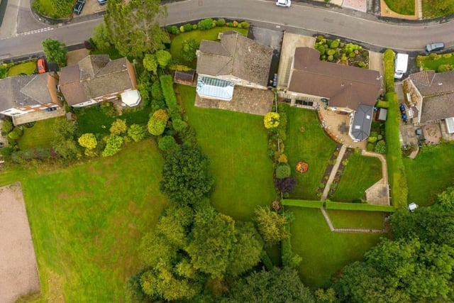 An aerial view of the garden