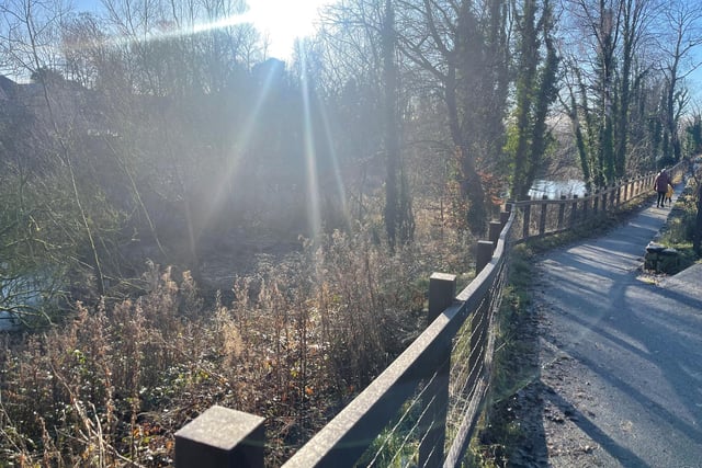 The sun shining down on a path at Primrose Nature Reserve in Clitheroe.