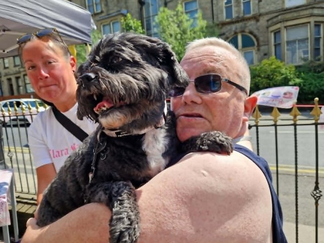 Man's best friend joins in the fun