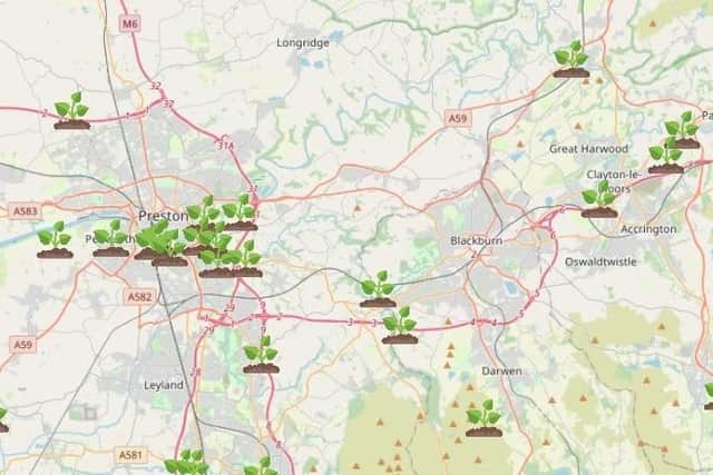 An interactive map shows where patches of Giant Hogweed are most prevalent
