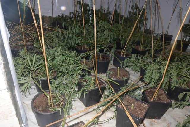 Members of an organised crime group (OCG) who conspired to run multi-million-pound cannabis factories in East Lancashire have been jailed for more than 27 years