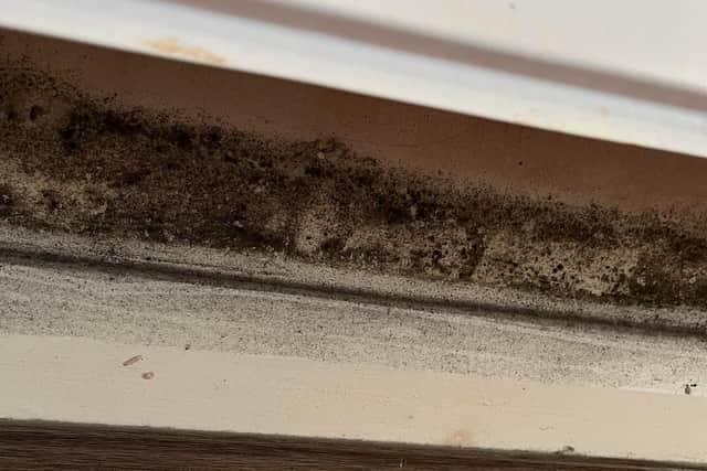 Black mould in a rented home in Burnley.