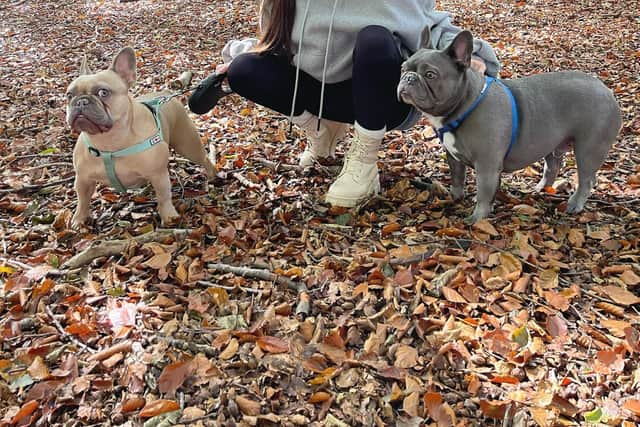 Briony Gorton with her two French Bulldogs, four-year-old Aston and seven-year-old Bentley.