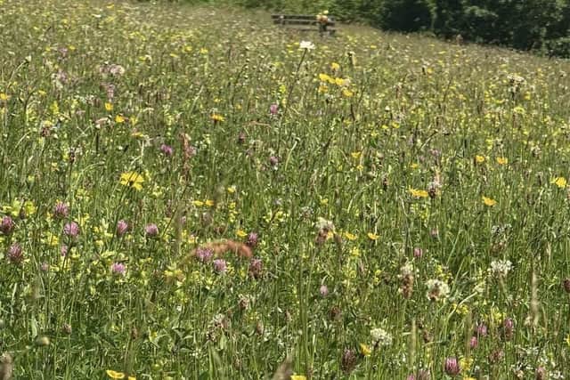 A new Community Nature Fund has been launched by the Forest of Bowland National Landscape as part of its commitment to tackling biodiversity loss