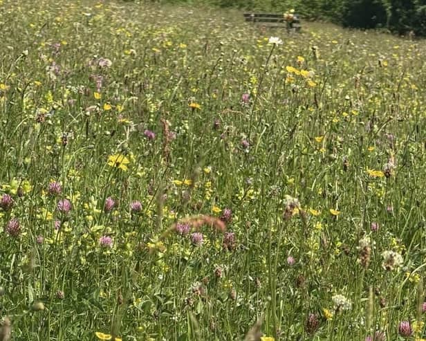 A new Community Nature Fund has been launched by the Forest of Bowland National Landscape as part of its commitment to tackling biodiversity loss