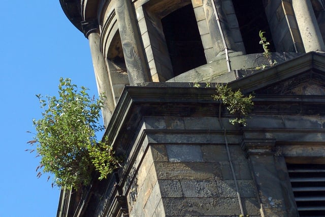 Trees and foliage grow out of St John's Church in the centre of Lancaster. The building was damaged by flooding in 2015, while there has also been structural movement, resulting in instability and cracks in the outer masonry and plaster. The register also says gutter blockages have resulted in water ingress and dry rot is affecting the roof timbers