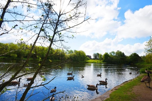 Take a stroll around Orrell Water Park and feed the ducks and geese