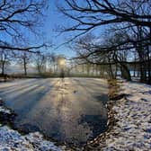 The sun beams through the trees onto the frozen Gawthorpe pond.