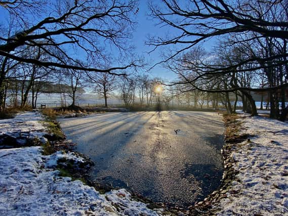The sun beams through the trees onto the frozen Gawthorpe pond.
