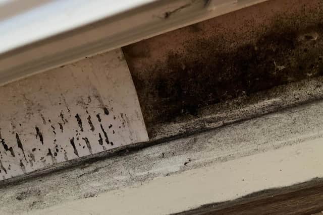 Black mould in a Calico home in Burnley.