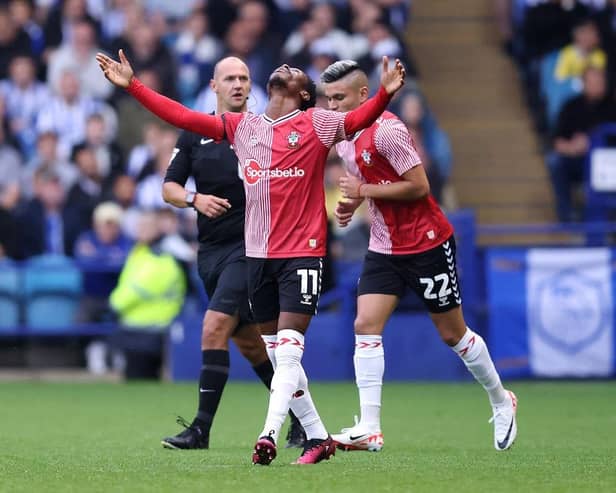 SHEFFIELD, ENGLAND - AUGUST 04: Nathan Tella celebrates following Southampton's first goal during the Sky Bet Championship match between Sheffield Wednesday and Southampton FC at Hillsborough on August 04, 2023 in Sheffield, England. (Photo by George Wood/Getty Images)