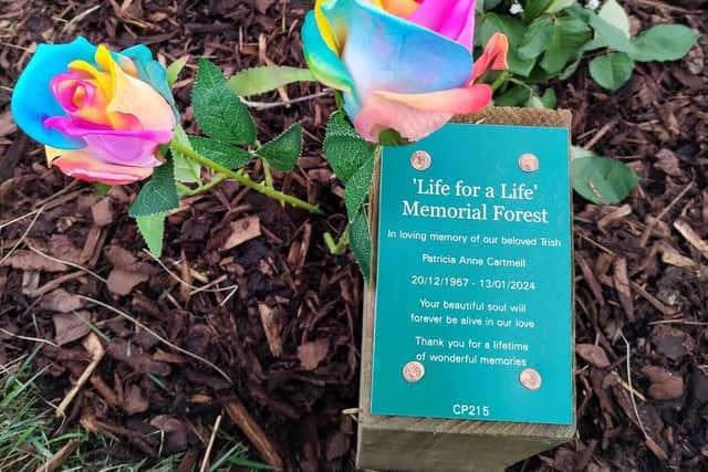 A plaque placed at the foot of the tree planted in memory of Trish Hudson at the Life for A Life memorial forest at Crown Point in Burnley