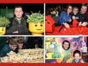 LEGO Festival