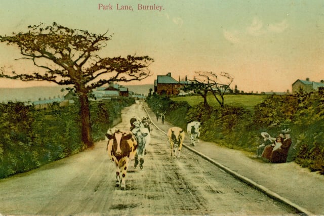 Park Lane, Burnley (n.d.). Credit: Lancashire County Council