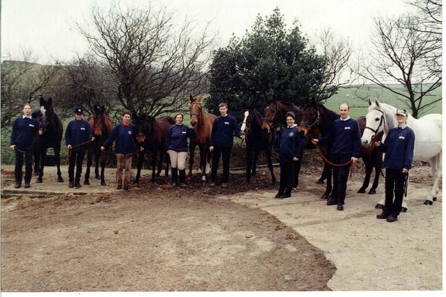 The "Gisburn 16", a group of 16 racehorses rescued by HAPPA and brought to Shores Hey Farm in Burnley in 1997. They were found emaciated on a farm in Newsholme, and their owner was later jailed for animal cruelty.