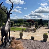 An open gardens event at Great Mitton Hall in the Ribble Valley attracted 500 visitors and raised £5,000 for three charities