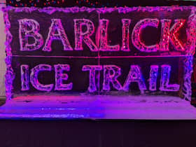 Carvings created at last year's inaugural Ice Trail by Glacial Arts