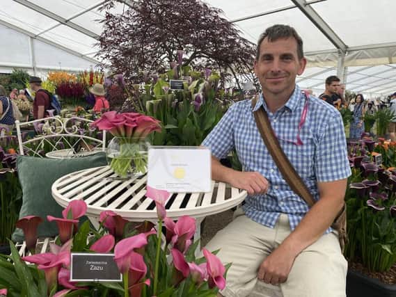 Matthew Smith of Brighter Blooms at Walton le Dale celebrates gaining a gold medal in the Floral Marquee awards for his display of Zantedeschias (also known as Calla lilies)  Photo:Fiona Finch