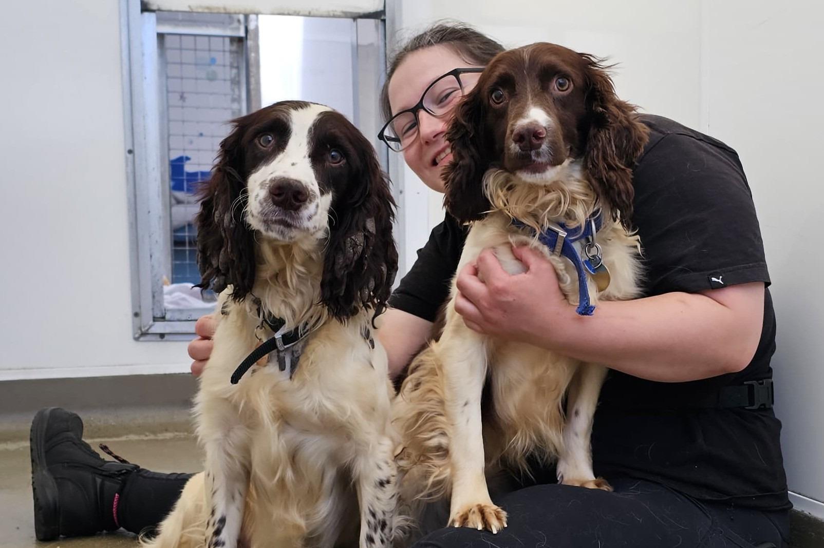 RSPCA Lancashire East animal centre saved from closure after community ...